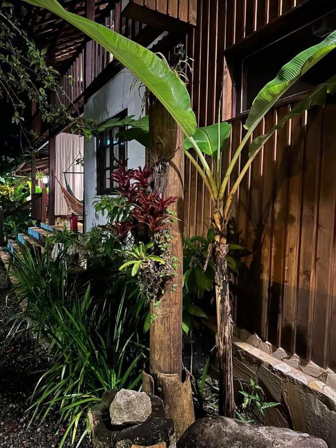 Planeta Banana Araquari Exterior foto